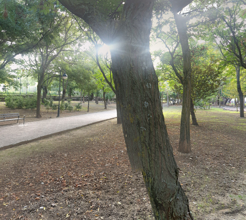 Parque de la Salud