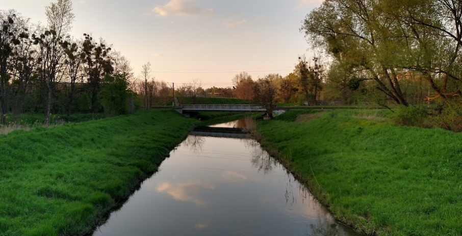 Las Kuźnicki
