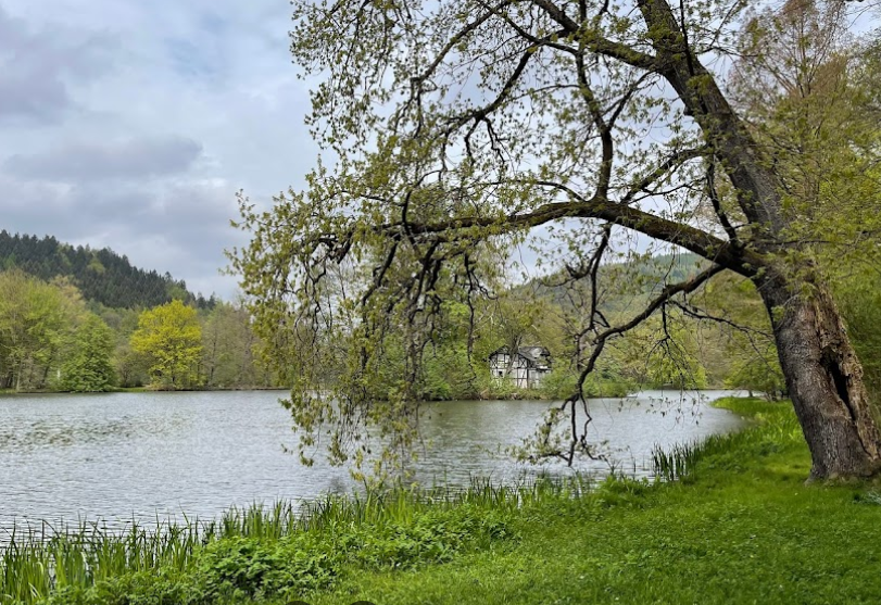 Fürstlich Greizer Park