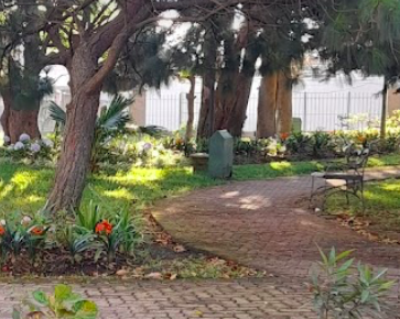 Parque colonia El Campo