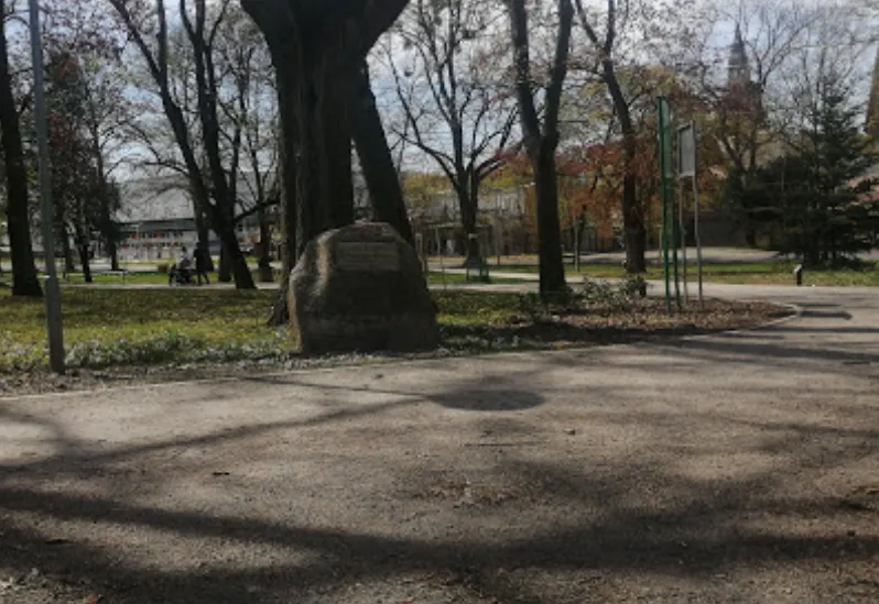 Park Miejski im. Stanisławy Siarkiewicz immagine del parco
