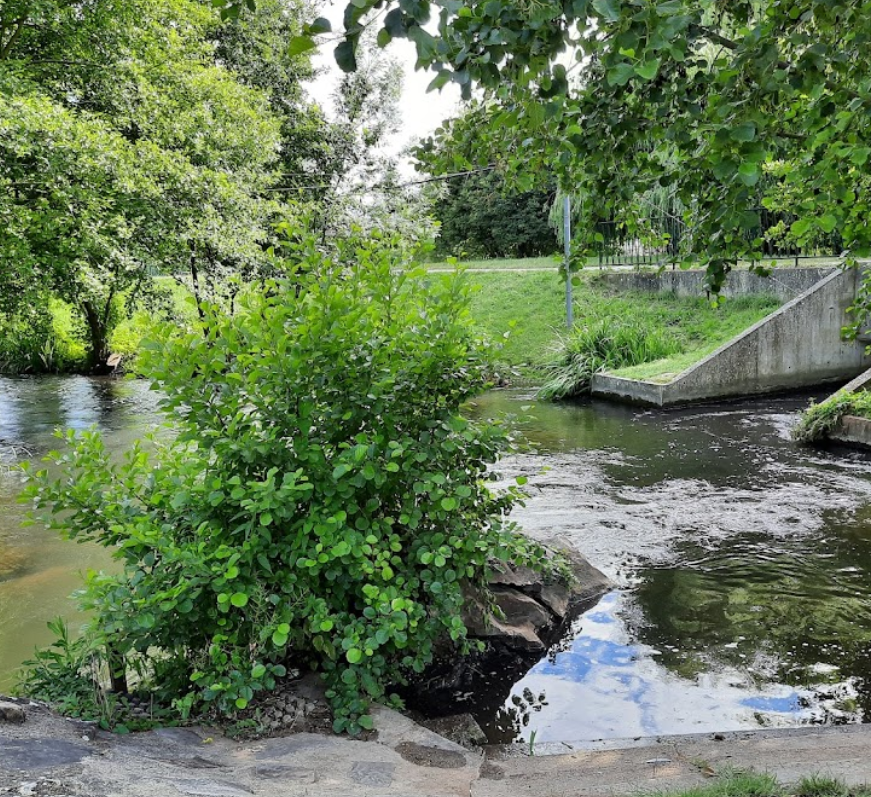 Parc de Robinson