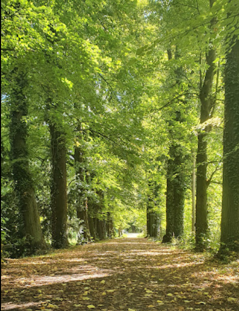Schlosspark Windischleuba