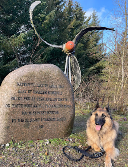 RAF Memorial stone