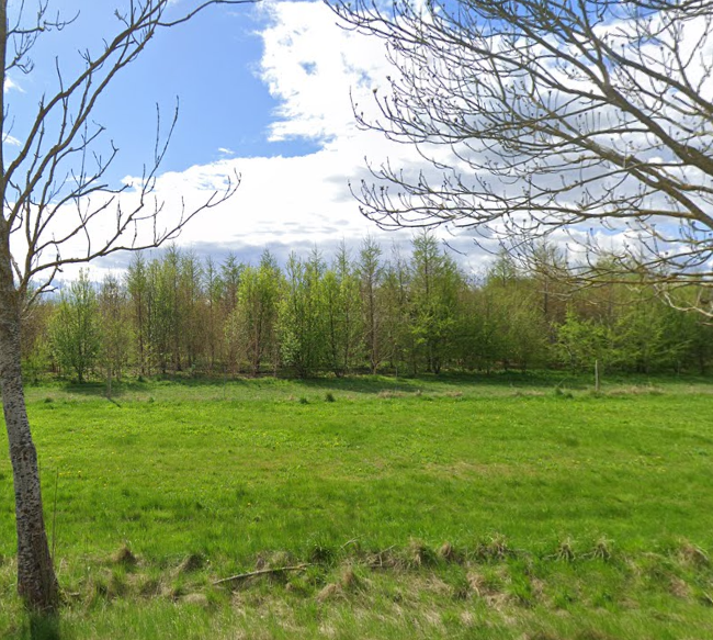Gørløse skov hundehegn