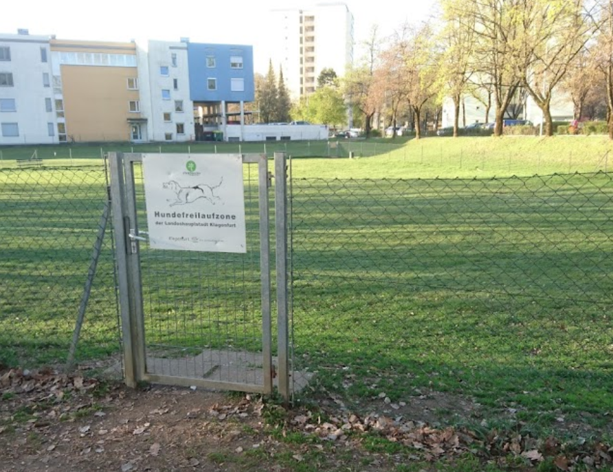Hundefreilaufzone Fischl