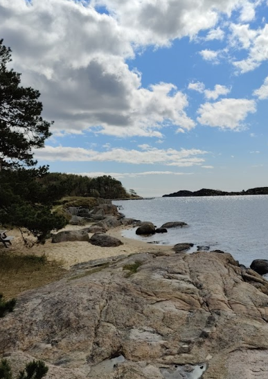 Torkelshåla strand