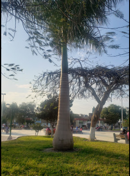 Plaza mayor de Santa