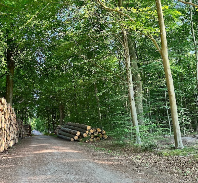 Bøllemose Bålplads og madpakkehus