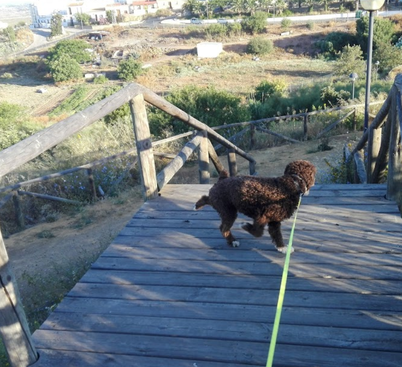 Parque de la Tirolina
