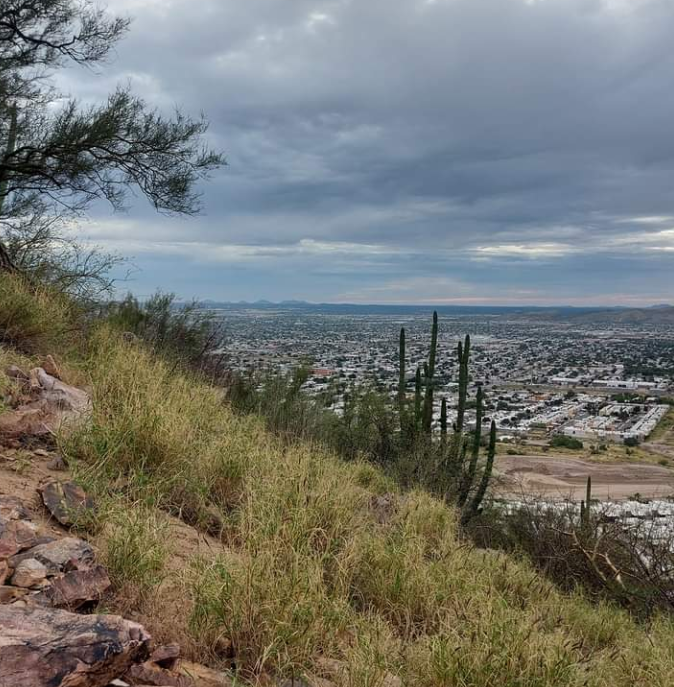 Cerro Johnson