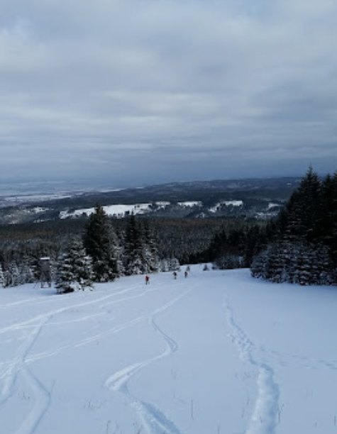 Hohnekopf