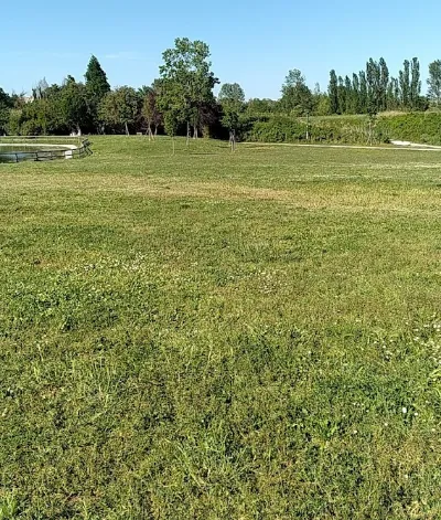Parco urbano del Conca Parkbild