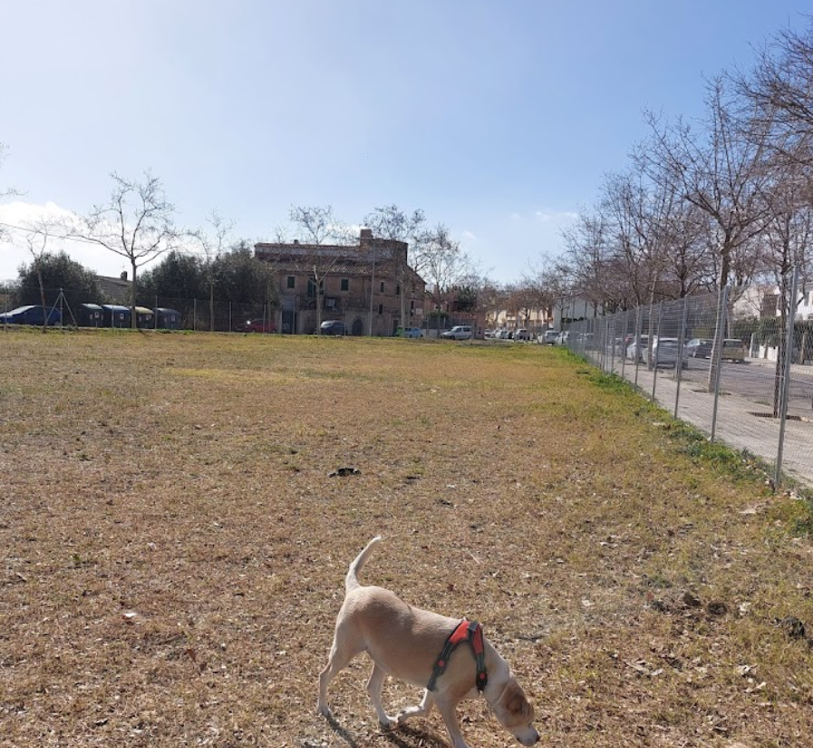 Parc de convivència canina