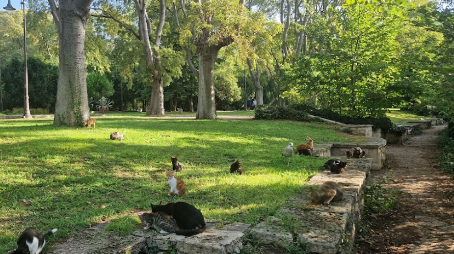 Sea Garden - Varna