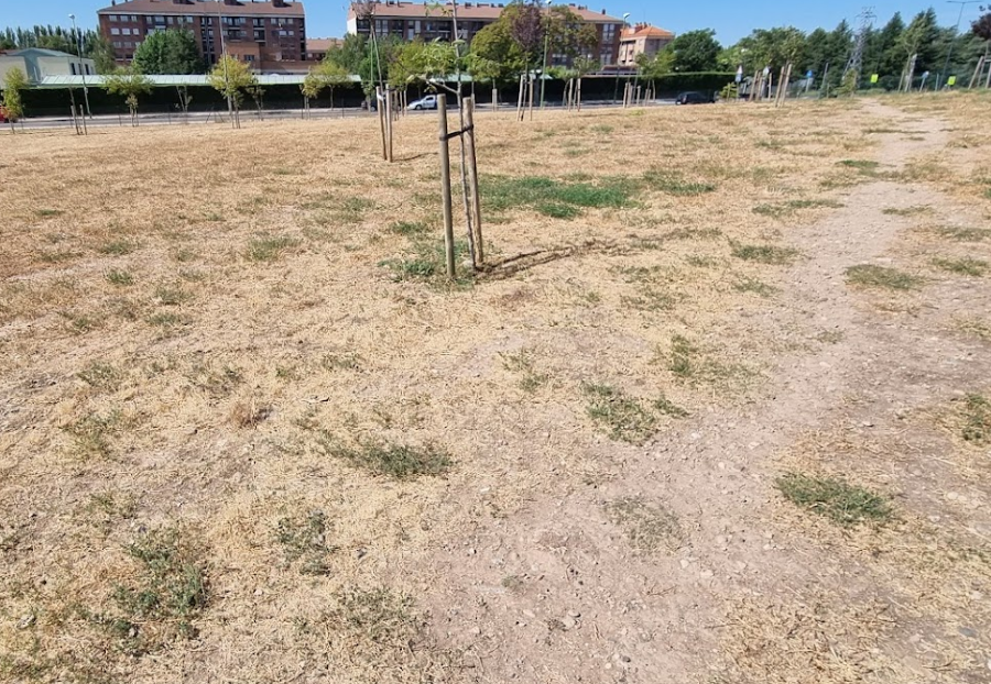 Zona de esparcimiento canino Fuentecillas