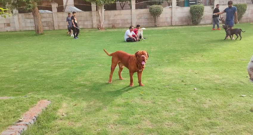 Playground, Dwarka Park