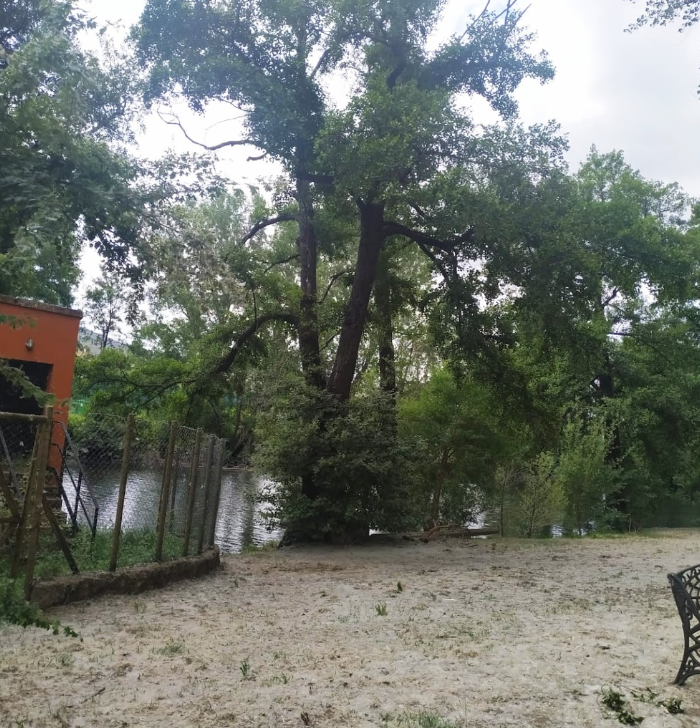 Parque canin De La Isla
