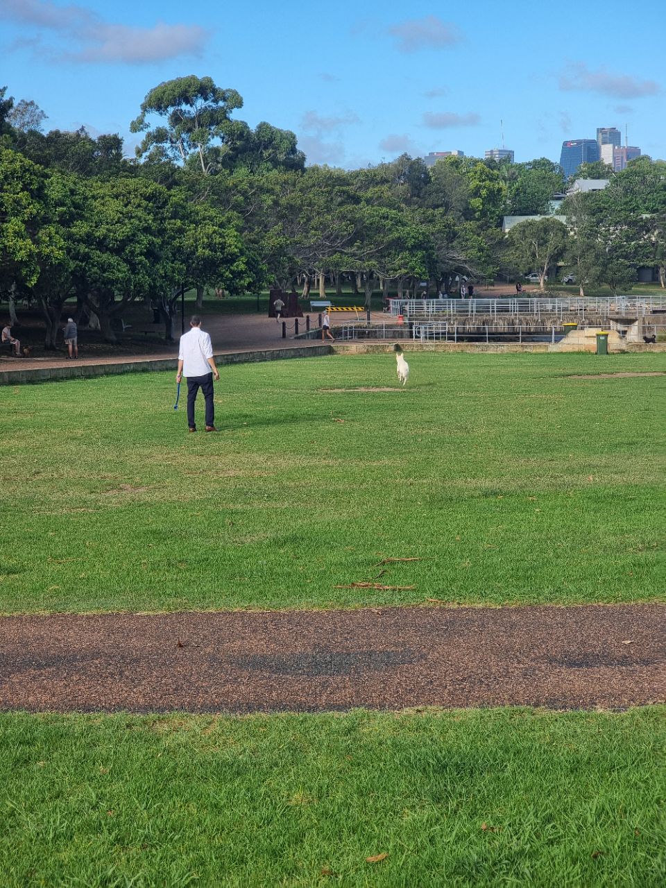 Mort Bay Park