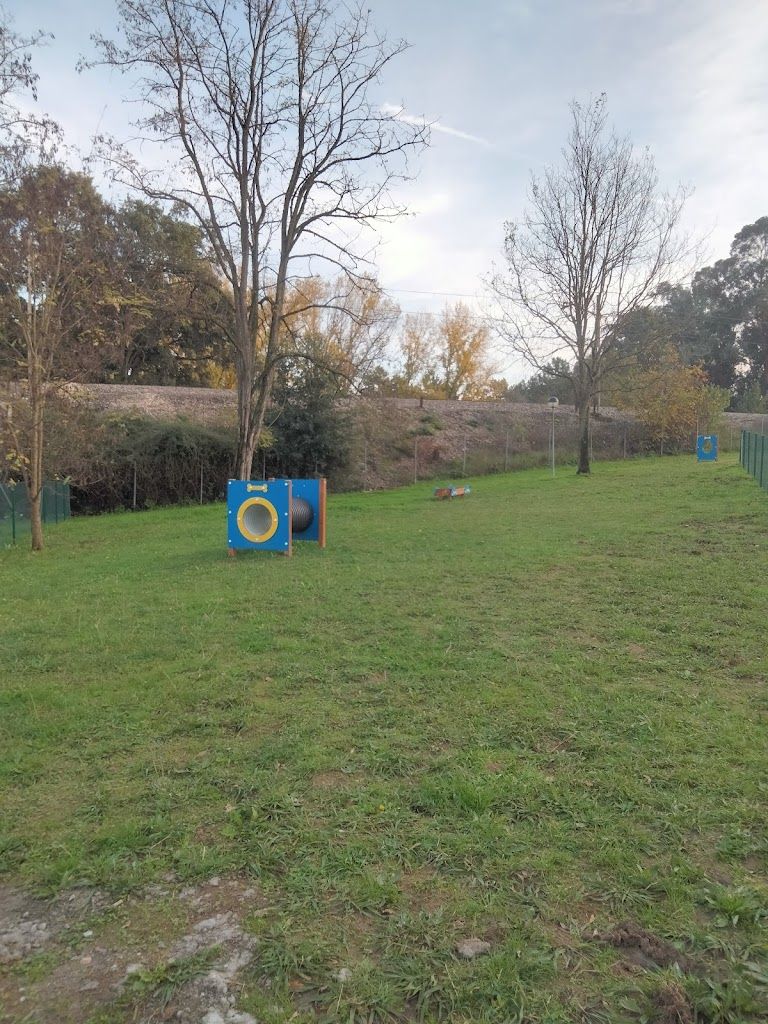 Parque Canino Os Coiñas