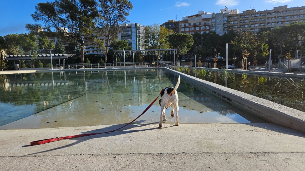 Parque Pignatelli