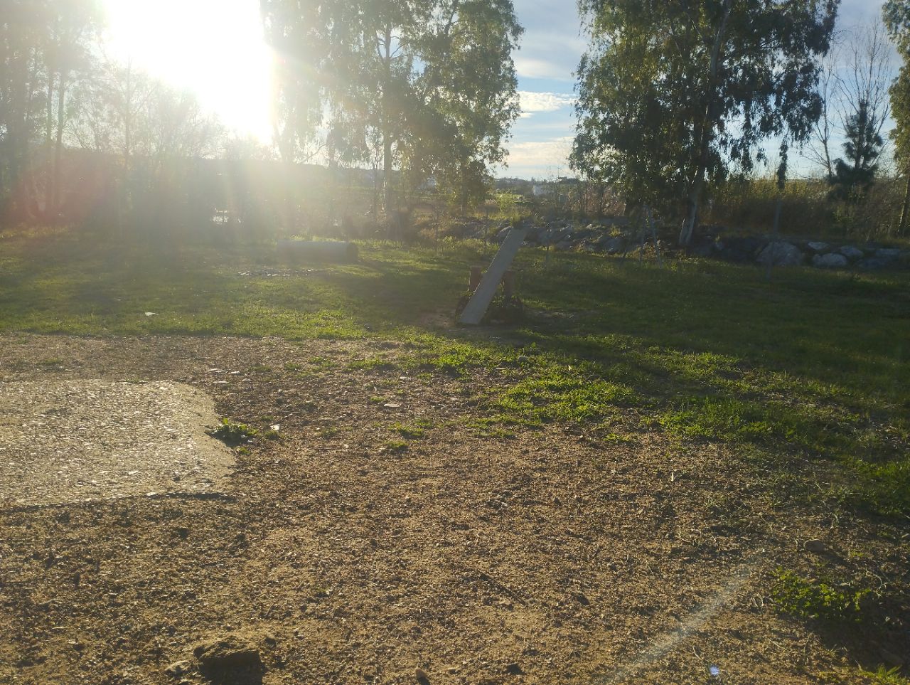 Parque de perros de la isla