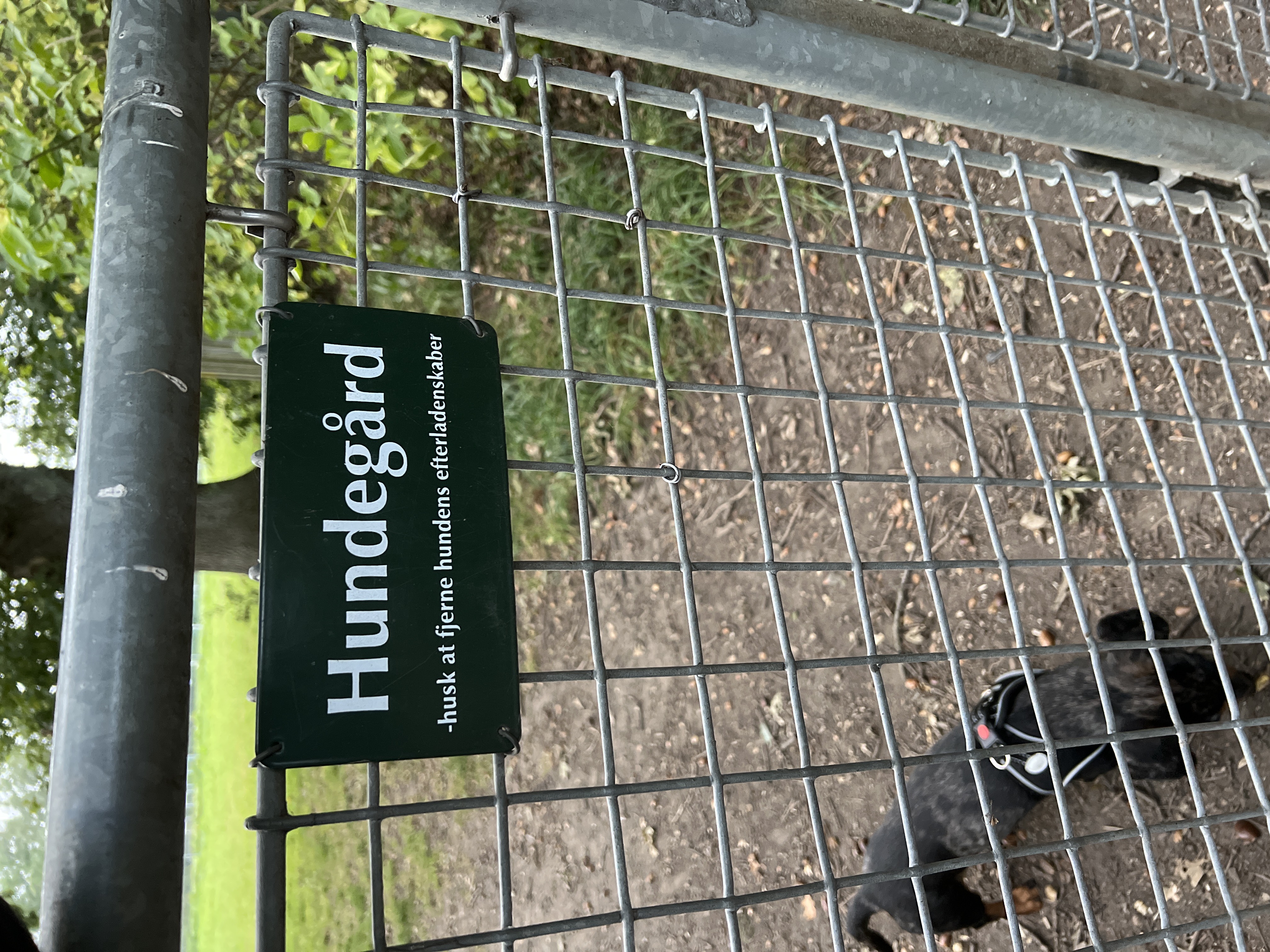 Hundeløbegård Kirkemosen