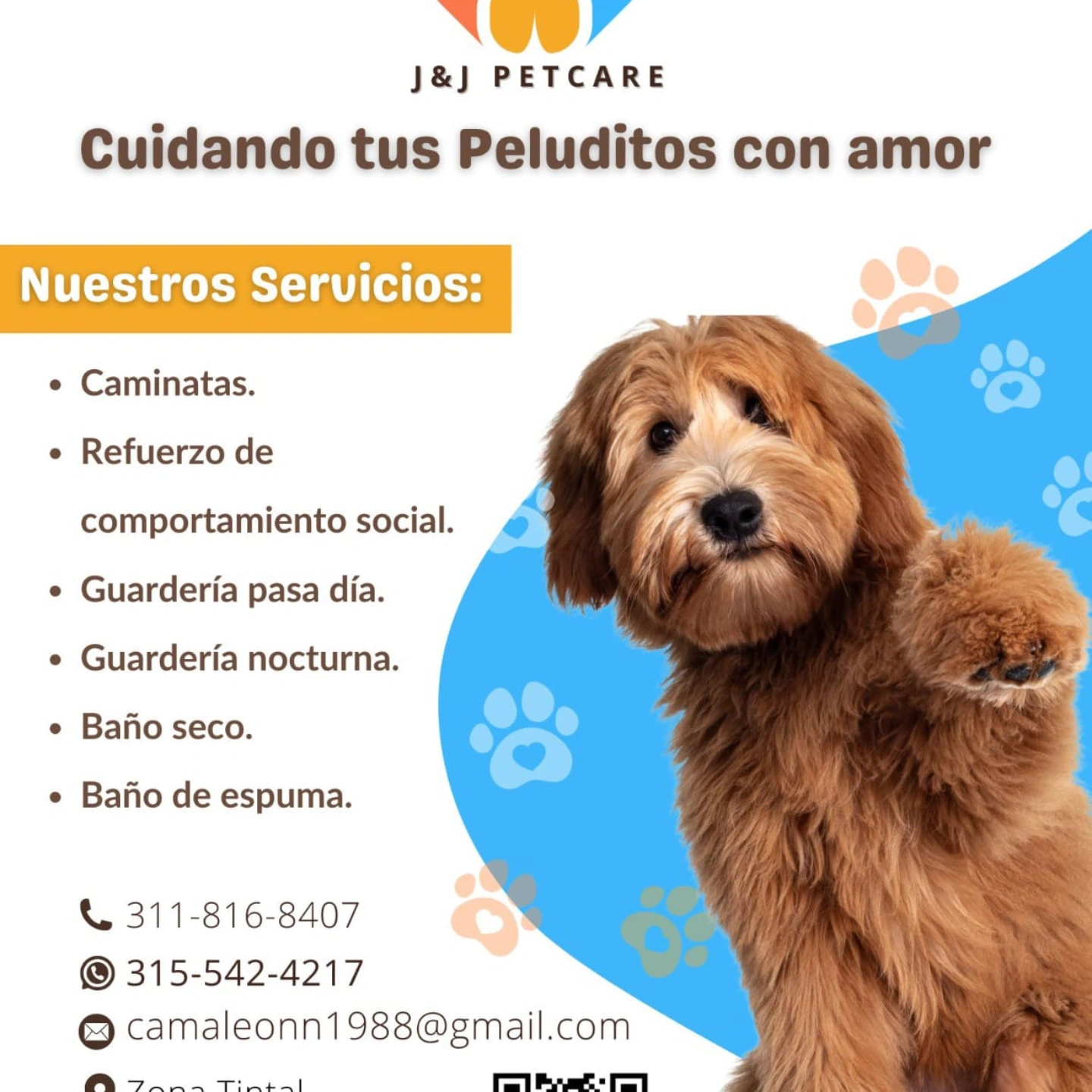 J&J PETCARE 2